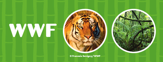 Wir engagieren uns für Tiger, machen Sie mit und helfen über Ihre Spende an den WWF die Anzahl der freilebenden Tiger zu steigern. Übrigens: Tiger-Schutz bedeutet zugleich Umwelt- und Klima-Schutz.