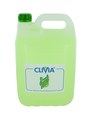 Clivia light